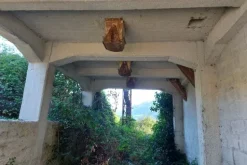 #22066 Ex stabilimento industriale con terreno