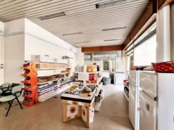 #23005 Fabbricato con unità direzionali, commerciali e residenziali