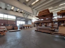 #22877 Fabbricato industriale-artigianale con area di pertinenza