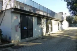 #12973 Fabbricato industriale con piazzale