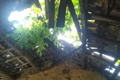 #24424 Fabbricato rurale e terreni agricoli incolti