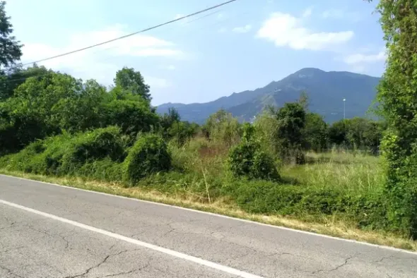 #24424 Fabbricato rurale e terreni agricoli incolti