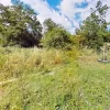 #2639450 Fabbricato uso pollaio e striscia terreno