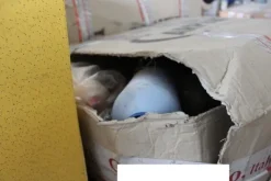 1#6826 Filati e prodotti finiti