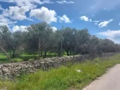 #26150 Fondo rustico con terreni e fabbricati collabenti