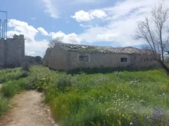 #26150 Fondo rustico con terreni e fabbricati collabenti
