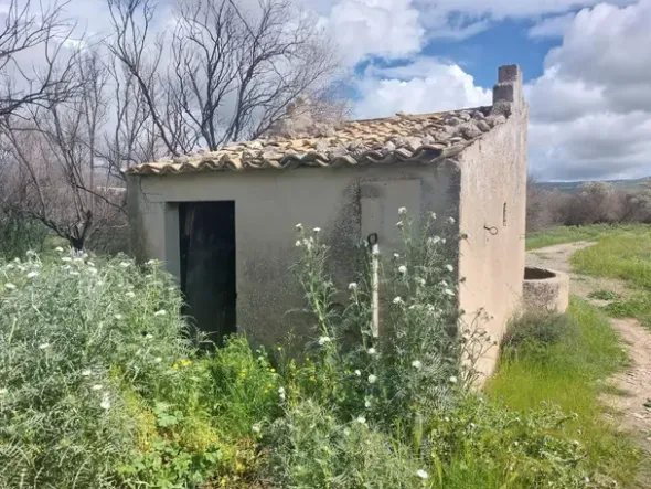 #26150 Fondo rustico con terreni e fabbricati collabenti