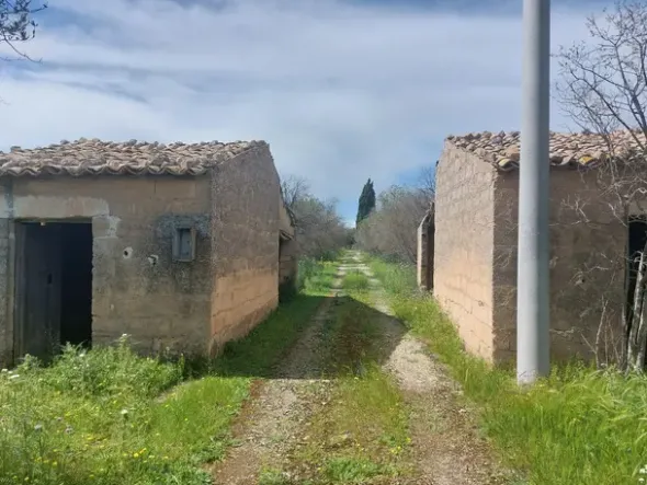 #26150 Fondo rustico con terreni e fabbricati collabenti
