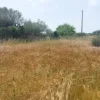 #2638953 Fondo rustico recintato in zona agricola