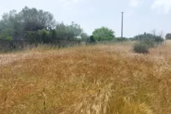 #2638953 Fondo rustico recintato in zona agricola