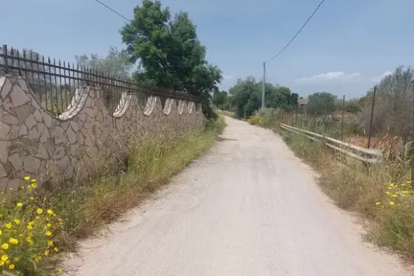 #2638953 Fondo rustico recintato in zona agricola