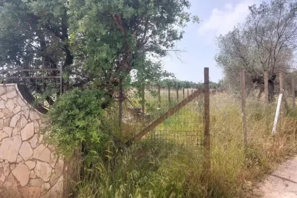 #2638953 Fondo rustico recintato in zona agricola