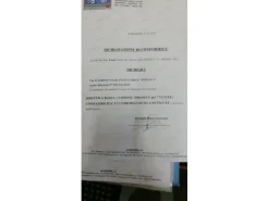 FORNO ELETTRICO A 2 PIANI