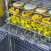 Forno essiccatore