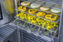 Forno essiccatore