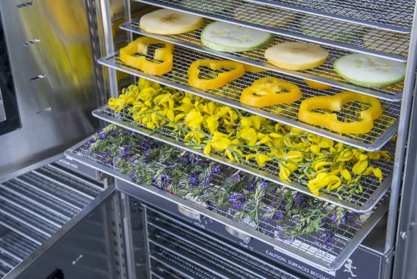 Forno essiccatore