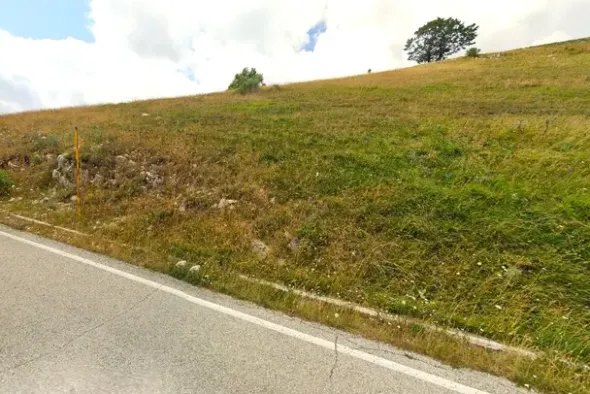 #22776 Frustolo in contesto di alta montagna