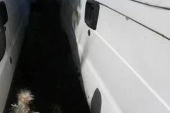 18#5495 Furgone Fiat Ducato