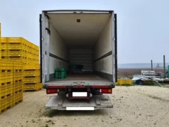 4#6481 Furgone Ivecoetranspallet elettrico