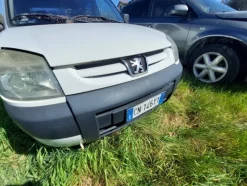 6#7663 Furgone Peugeot Ranch