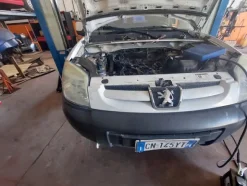 7#7663 Furgone Peugeot Ranch