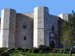 #2639087 HOTEL ANDRIA (BT) 4 stelle
