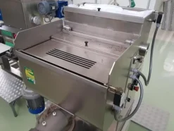 4#4053 Impastatrice e pressa Dominioni