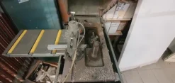11#5029 Intestatrice Rinaldi Lilliput