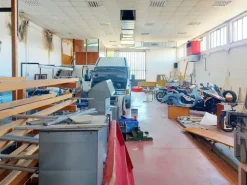 #21106 Laboratorio con corte pertinenziale