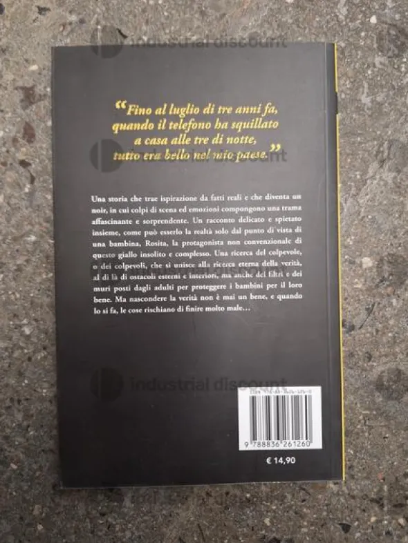 1#10093 Libri di storia locale e guide al territorio