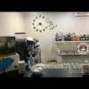 Licenza bar tabacchi ricevitoria