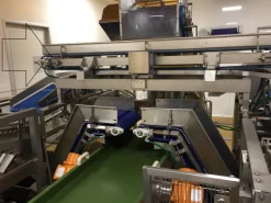 LINEA ASCIUGATURA VERDURA