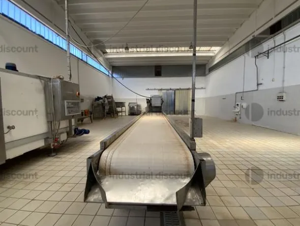 29#9550 Linea di lavaggio ortaggi