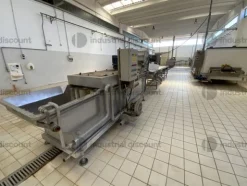 29#9550 Linea di lavaggio ortaggi