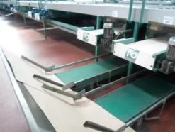 1#69013 Linea di lavorazione e confezionamento mele Ito