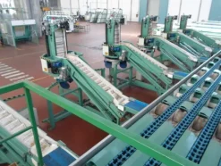 1#69013 Linea di lavorazione e confezionamento mele Ito