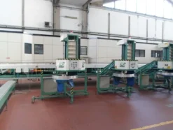 1#69013 Linea di lavorazione e confezionamento mele Ito