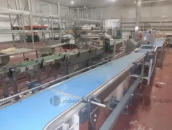 1#9025 Linea di lavorazione frutta