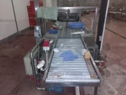 1#9025 Linea di lavorazione frutta