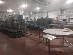 1#9025 Linea di lavorazione frutta