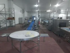 1#9025 Linea di lavorazione frutta