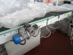 3#69013 Linea di selezione e confezionamento sacchetti/cestini mele