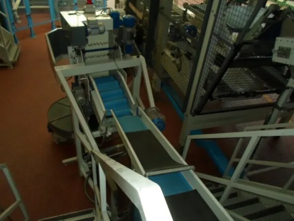 6#69013 Linea di selezione e confezionamento Sorma