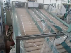 7#69013 Linea di selezione e confezionamento frutta