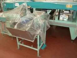 7#69013 Linea di selezione e confezionamento frutta