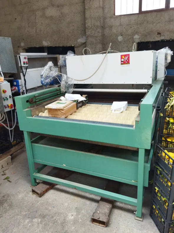 Linea lavorazione frutta