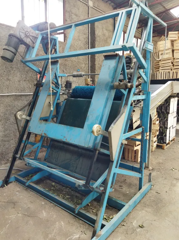 Linea lavorazione frutta