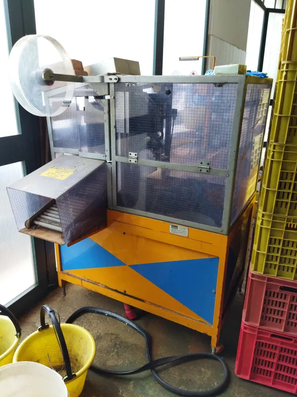 Linea lavorazione frutta