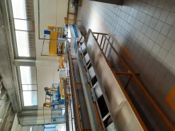 Linea lavorazione pesche