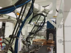 1#8719 Linee incartonamento e pallettizzazione pasta lunga e corta